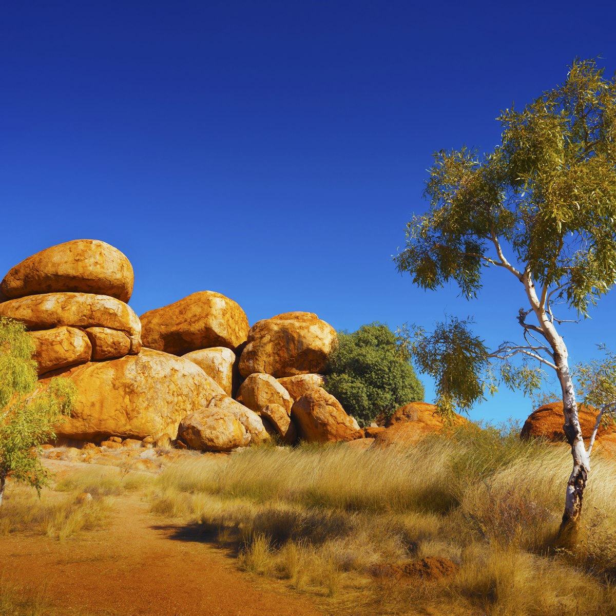 Natural Features Lesson | Geography | AU