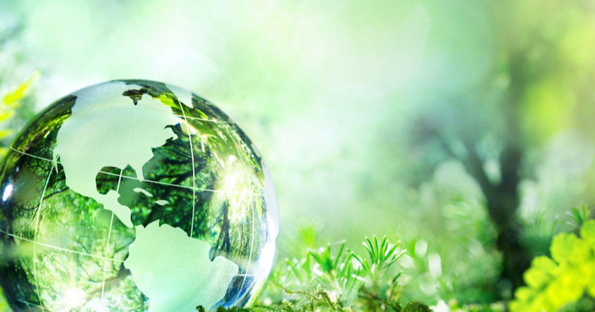 Different Environments Unit | Geography | AU