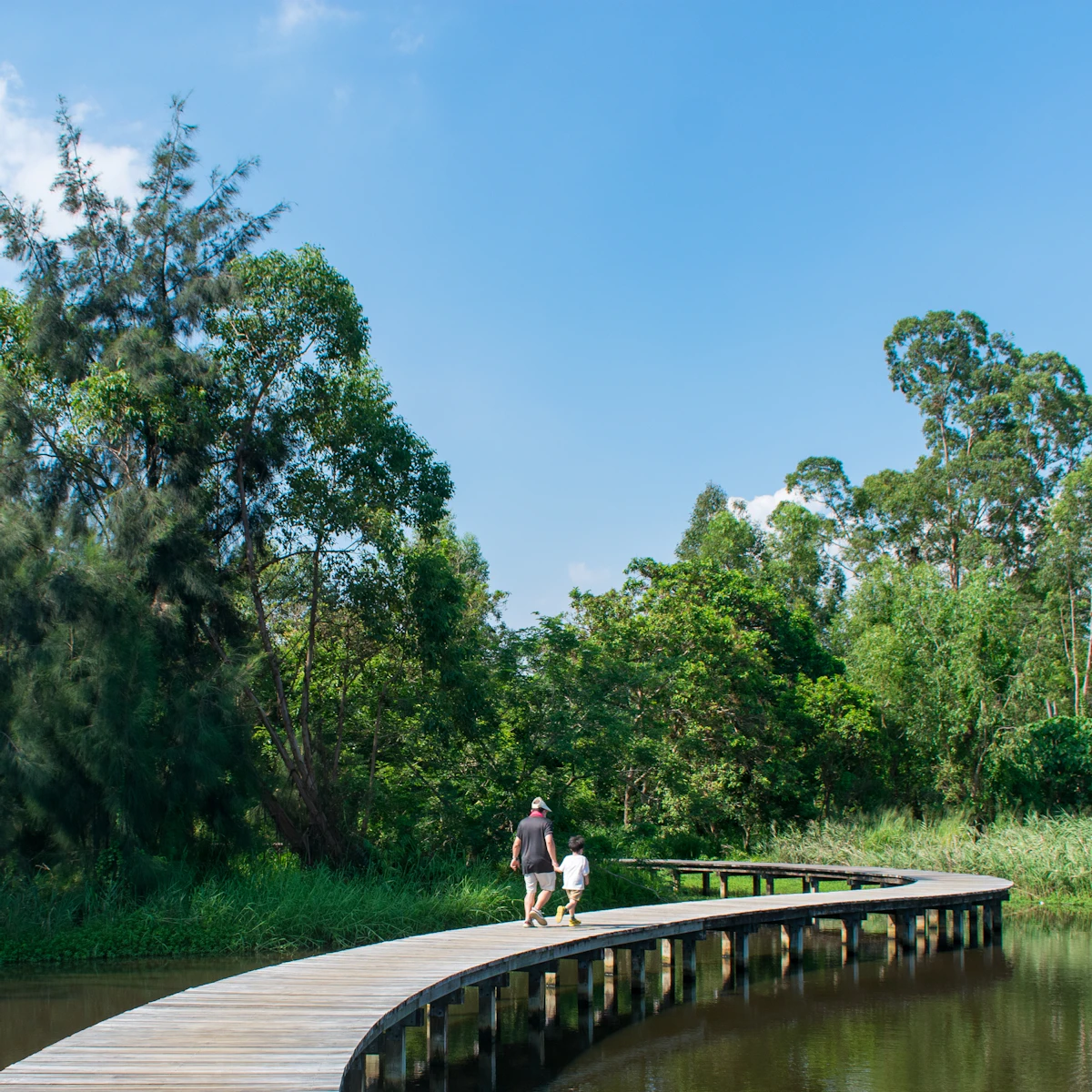 Moving Forward Lesson | History | AU