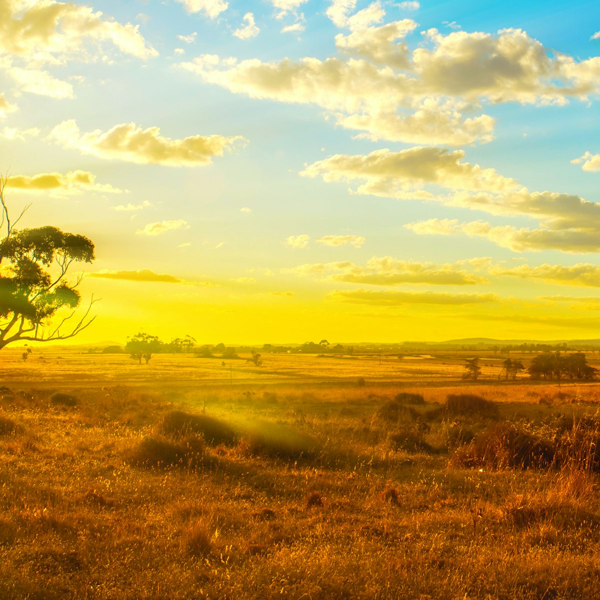 Explain Calendar To A Child Explain Calendar To A Child