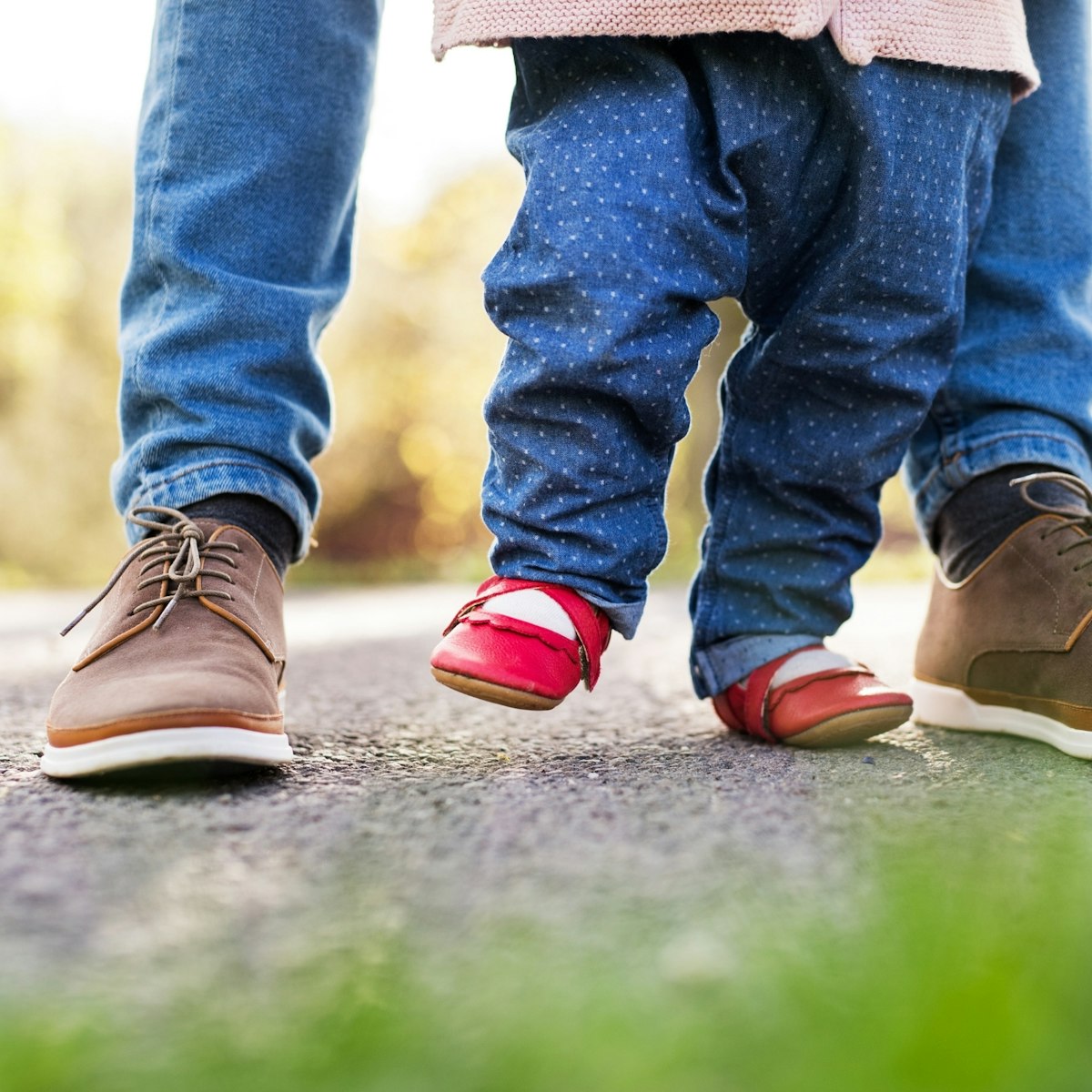 Step By Step Inquisitive Science And Technology Lesson step-by-step-inquisitive-science-and-technology-lesson